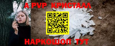 стафф Гай