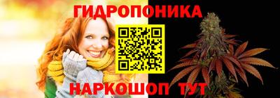 ешки Аргун