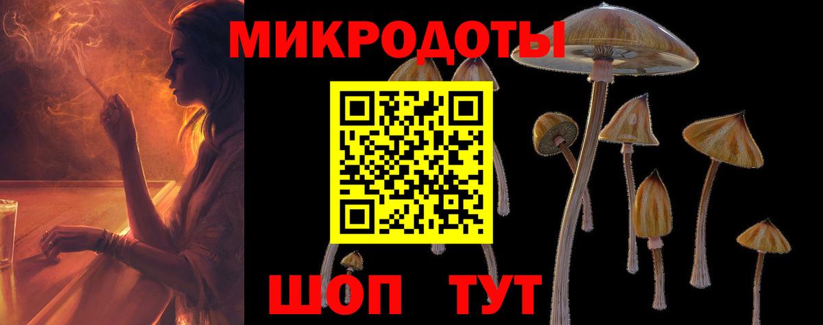 купить закладку  Галлюциногенные грибы Magic Shrooms  Вход с VPN  Белгород 